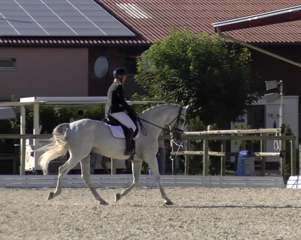 Reitturnier Dompierre 2022