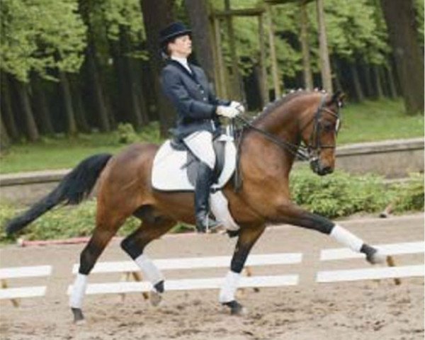 horse Pirat B3 (German Riding Pony, 1996, from Pernod Black)