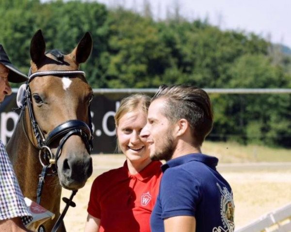 broodmare Viane (German Riding Pony, 2018, from Valido's Highlight)