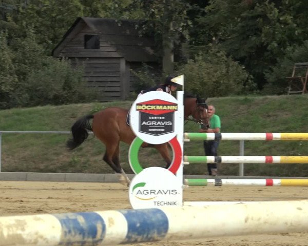 Reitturnier Kreiensen- Rittierode 2022