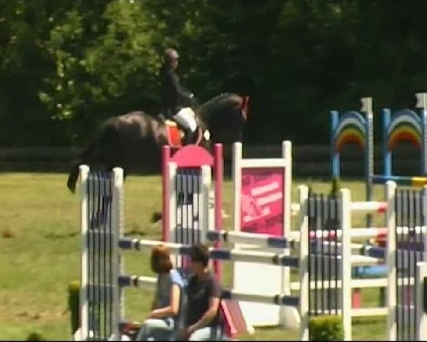jumper Love Parade 13 (Holsteiner, 2000, from Limbus)