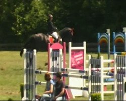 jumper Love Parade 13 (Holsteiner, 2000, from Limbus)