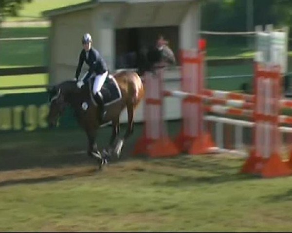 jumper Rhapsodie 184 (Holsteiner, 2001, from Quinar)