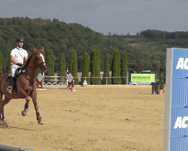 Reitturnier Kreiensen- Rittierode 2022