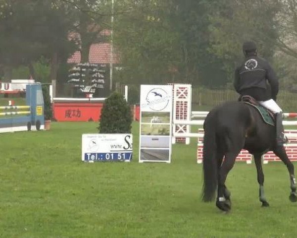 jumper Leda S (Sachse, 2000, from Lehnbach)