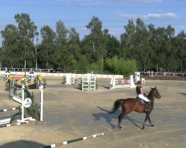 Reitturnier Vellinghausen 2022