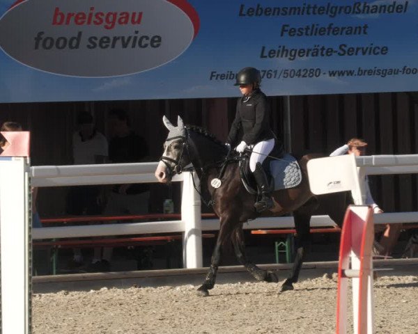 Reitturnier Gundelfingen 2022