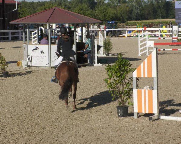 Reitturnier Gundelfingen 2022