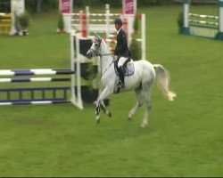 jumper Pamina 440 (Westphalian, 2005, from Pep)