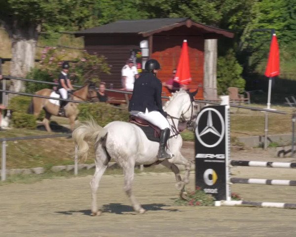 Reitturnier Oberderdingen 2022