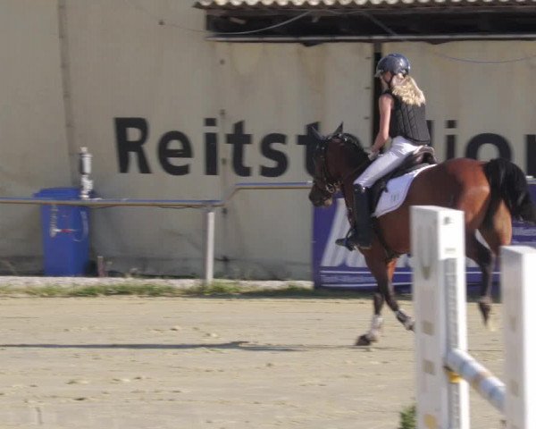 Reitturnier Oberderdingen 2022