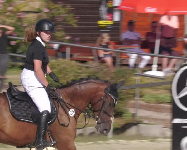 Reitturnier Oberderdingen 2022