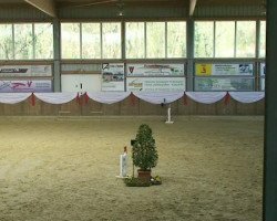 jumper Baxter 18 (Belgian Warmblood, 1999, from Burggraaf)