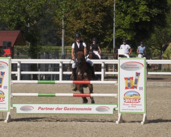 Reitturnier Gundelfingen 2022