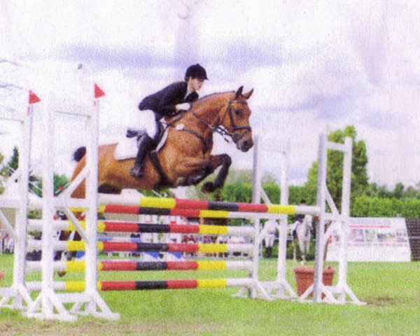 jumper Santiago 188 (Hanoverian, 2003, from San Juan)