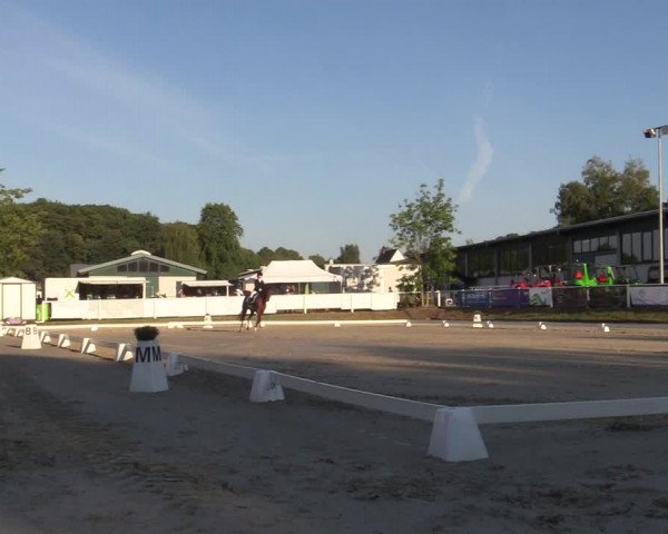 Reitturnier Bergisch Gladbach DRE 2022