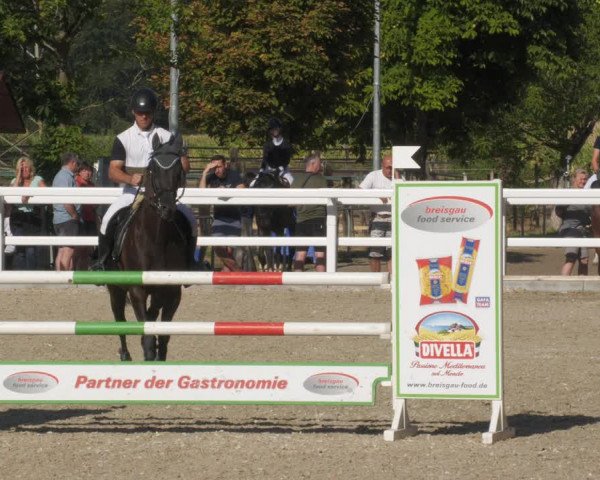 Reitturnier Gundelfingen 2022