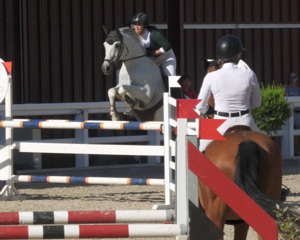 Reitturnier Gundelfingen 2022