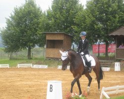 jumper Apecor (Zweibrücken, 2004, from Arpeggio)