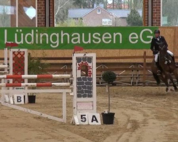 jumper Erik 66 (Rhinelander, 2006, from Extasy 6)