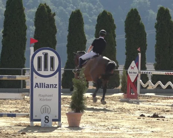 Reitturnier Kreiensen- Rittierode 2022