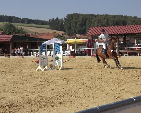 Reitturnier Kreiensen- Rittierode 2022