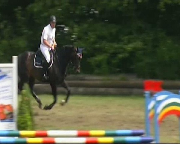 broodmare La Fortuna 2 (Hanoverian, 2003, from Le Primeur)