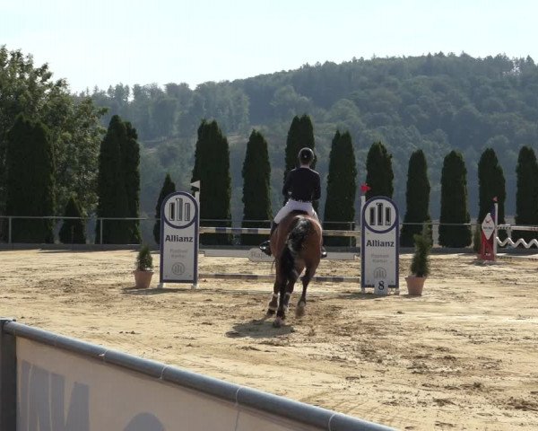 Reitturnier Kreiensen- Rittierode 2022