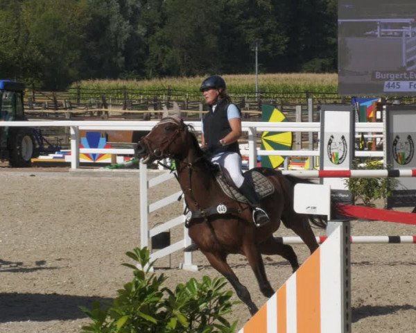 Reitturnier Gundelfingen 2022