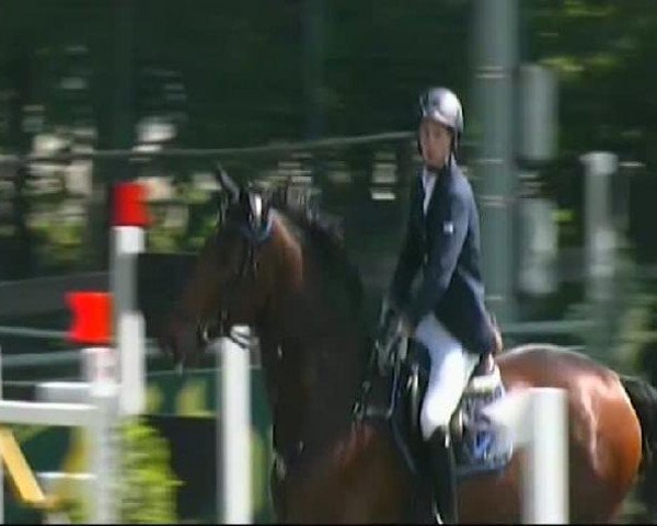 jumper Menado 2 (Hungarian Warmblood, 2000, from Colonado)