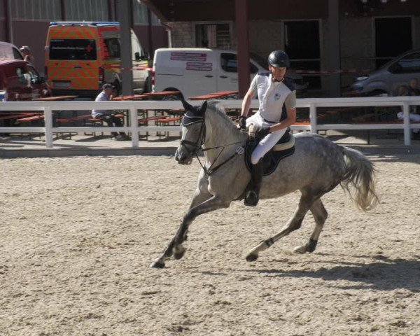 Reitturnier Gundelfingen 2022