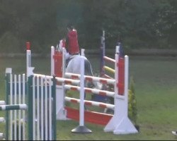 jumper Katago 6 (Brandenburg, 1999, from Kolibri 2705)