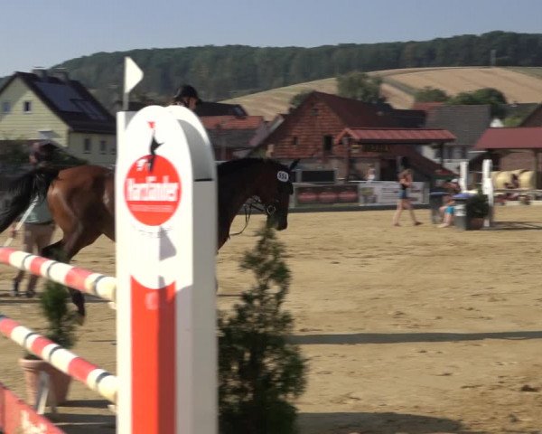 Reitturnier Kreiensen- Rittierode 2022