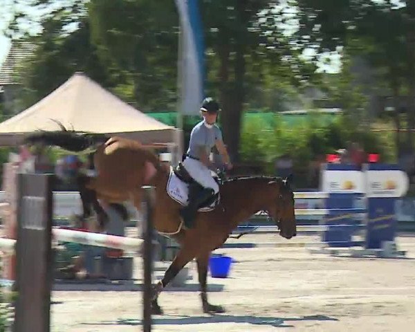 Reitturnier Grafenrheinfeld/Ufr. 2022