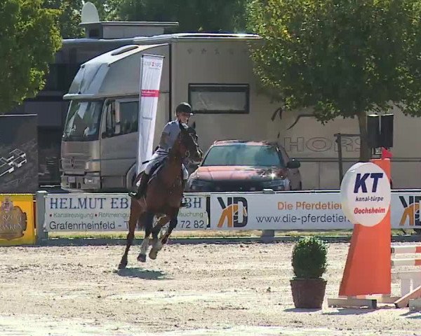Reitturnier Grafenrheinfeld/Ufr. 2022