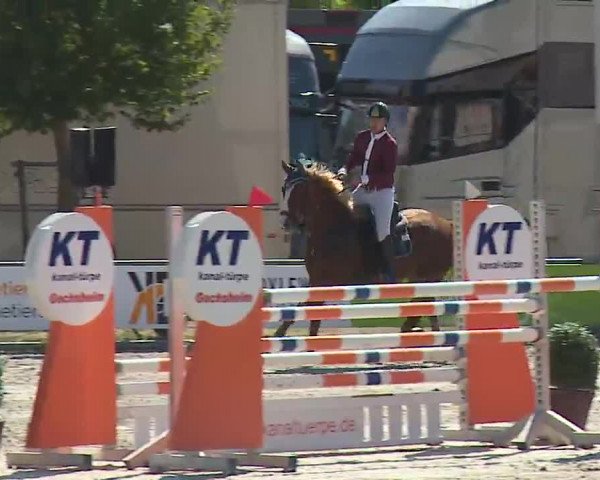 Reitturnier Grafenrheinfeld/Ufr. 2022