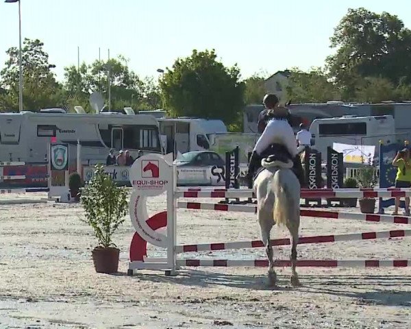 Reitturnier Grafenrheinfeld/Ufr. 2022
