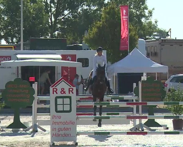 Reitturnier Grafenrheinfeld/Ufr. 2022
