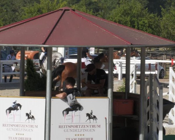 Reitturnier Gundelfingen 2022