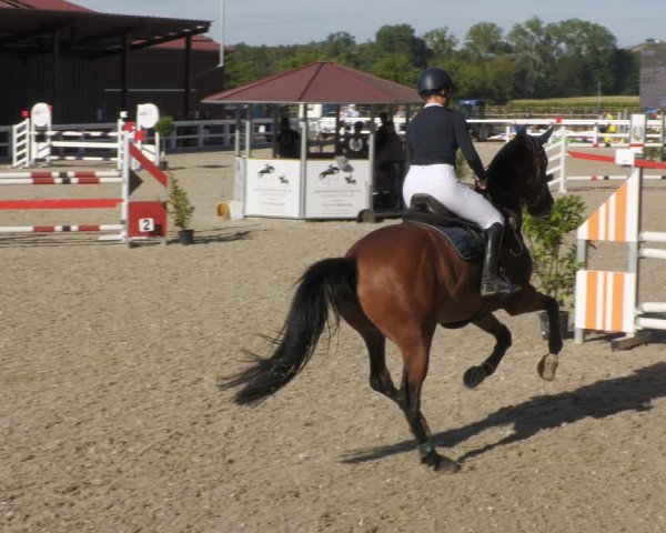 Reitturnier Gundelfingen 2022