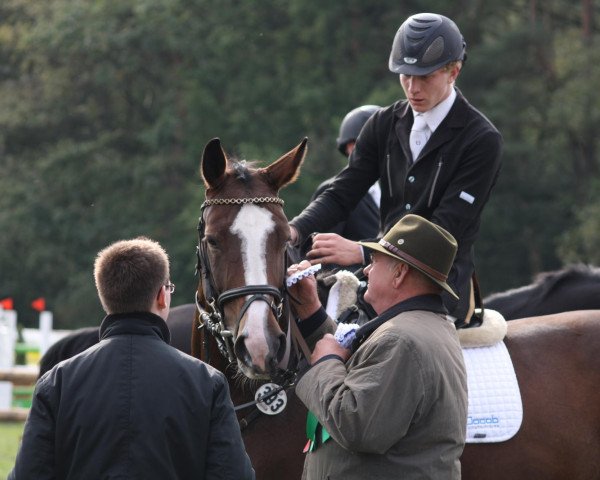 broodmare Pleasure Dream (Westphalian, 2004, from Parlando I)