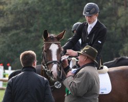 broodmare Pleasure Dream (Westphalian, 2004, from Parlando I)