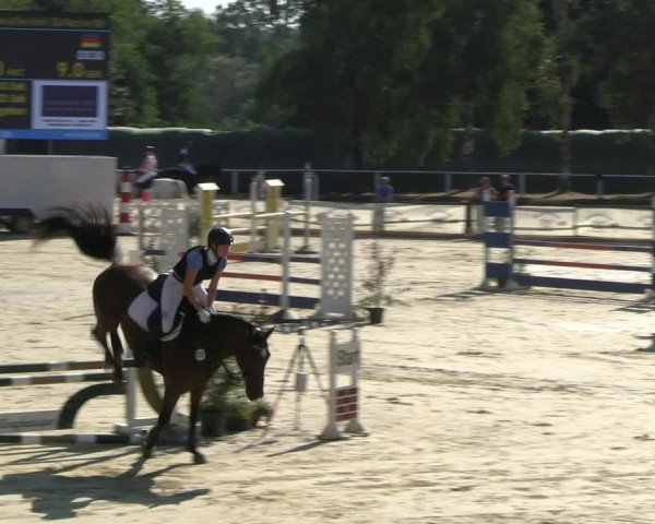 Reitturnier Vellinghausen 2022
