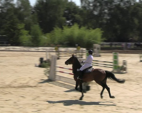 Reitturnier Vellinghausen 2022