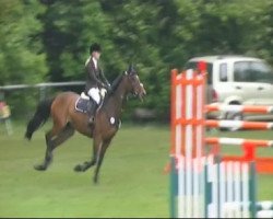 broodmare Tessa XV (Holsteiner, 2003, from Quite Capitol)