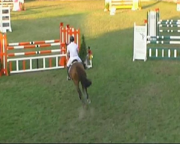 broodmare Clarice 4 (Hanoverian, 2003, from Calido I)
