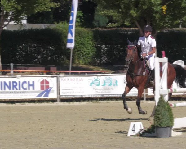 Reitturnier Oberderdingen 2022