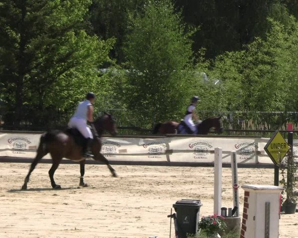 Reitturnier Vellinghausen 2022