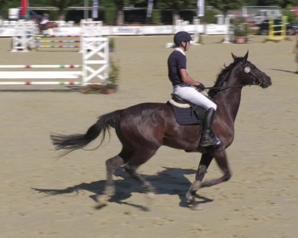 Reitturnier Oberderdingen 2022