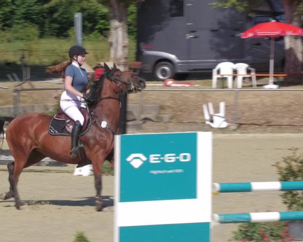 Reitturnier Oberderdingen 2022